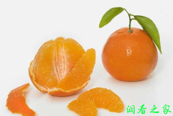 濑户香柑橘品种简介(图2)