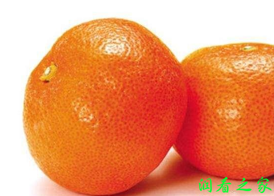 山下红温州密柑品种介绍(图1)