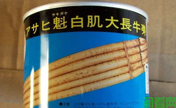 白肌大长牛蒡品种好不好？