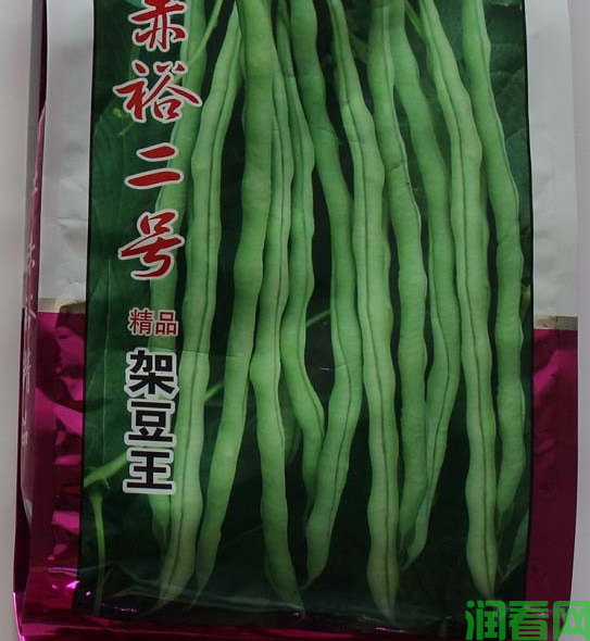 赤裕二号四季豆品种好不好？