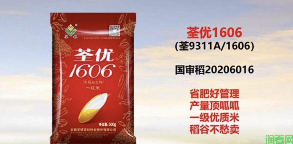 荃优1606水稻品种好不好？